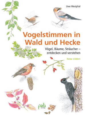 cover image of Vogelstimmen in Wald und Hecke